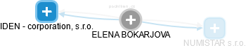 ELENA BOKARJOVA - Vizualizace  propojení osoby a firem v obchodním rejstříku