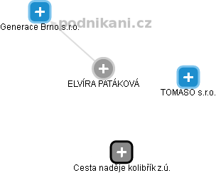  Elvíra P. - Vizualizace  propojení osoby a firem v obchodním rejstříku