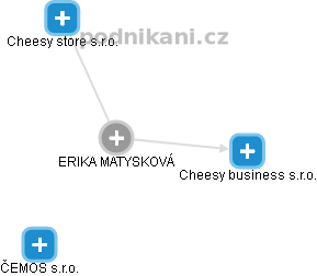 ERIKA MATYSKOVÁ - Vizualizace  propojení osoby a firem v obchodním rejstříku