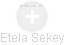 Etela Sekey - Vizualizace  propojení osoby a firem v obchodním rejstříku