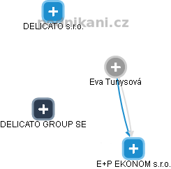 Eva Tunysová - Vizualizace  propojení osoby a firem v obchodním rejstříku