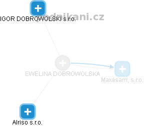 EWELINA DOBROWOLSKA - Vizualizace  propojení osoby a firem v obchodním rejstříku