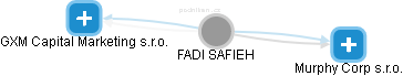 FADI SAFIEH - Vizualizace  propojení osoby a firem v obchodním rejstříku