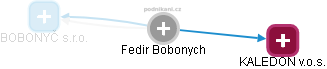 Fedir Bobonych - Vizualizace  propojení osoby a firem v obchodním rejstříku