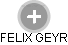 FELIX GEYR - Vizualizace  propojení osoby a firem v obchodním rejstříku