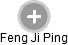 Feng Ji Ping - Vizualizace  propojení osoby a firem v obchodním rejstříku