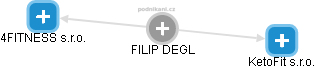 FILIP DEGL - Vizualizace  propojení osoby a firem v obchodním rejstříku