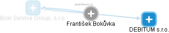 František Bokůvka - Vizualizace  propojení osoby a firem v obchodním rejstříku