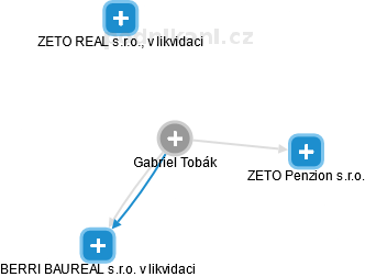  Gabriel T. - Vizualizace  propojení osoby a firem v obchodním rejstříku