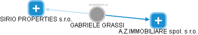 GABRIELE GRASSI - Vizualizace  propojení osoby a firem v obchodním rejstříku