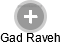 Gad Raveh - Vizualizace  propojení osoby a firem v obchodním rejstříku