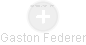 Gaston Federer - Vizualizace  propojení osoby a firem v obchodním rejstříku
