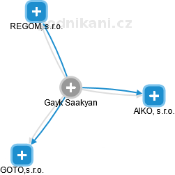  Gayk S. - Vizualizace  propojení osoby a firem v obchodním rejstříku