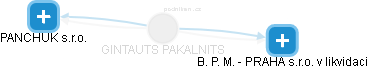 GINTAUTS PAKALNITS - Vizualizace  propojení osoby a firem v obchodním rejstříku