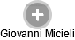 Giovanni Micieli - Vizualizace  propojení osoby a firem v obchodním rejstříku