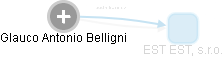  Belligni G. - Vizualizace  propojení osoby a firem v obchodním rejstříku