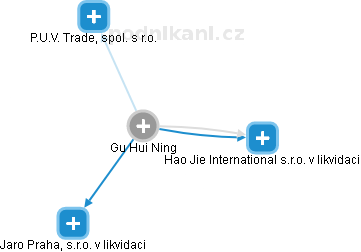Gu Hui Ning - Vizualizace  propojení osoby a firem v obchodním rejstříku