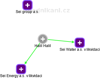 Halil Halil - Vizualizace  propojení osoby a firem v obchodním rejstříku