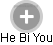 He Bi You - Vizualizace  propojení osoby a firem v obchodním rejstříku