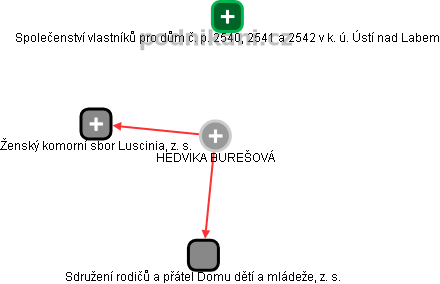 HEDVIKA BUREŠOVÁ - Vizualizace  propojení osoby a firem v obchodním rejstříku