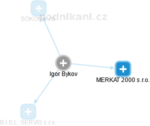 Igor Bykov - Vizualizace  propojení osoby a firem v obchodním rejstříku
