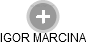 IGOR MARCINA - Vizualizace  propojení osoby a firem v obchodním rejstříku