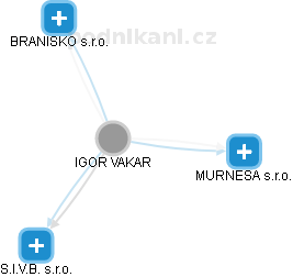 IGOR VAKAR - Vizualizace  propojení osoby a firem v obchodním rejstříku