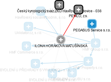  Horáková I. - Vizualizace  propojení osoby a firem v obchodním rejstříku