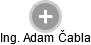  Adam Č. - Vizualizace  propojení osoby a firem v obchodním rejstříku