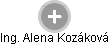 Alena Kozáková - Vizualizace  propojení osoby a firem v obchodním rejstříku