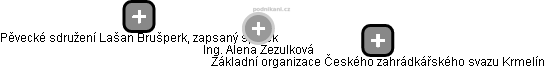 Alena Zezulková - Vizualizace  propojení osoby a firem v obchodním rejstříku