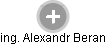 Alexandr Beran - Vizualizace  propojení osoby a firem v obchodním rejstříku