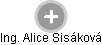 Alice Sisáková - Vizualizace  propojení osoby a firem v obchodním rejstříku