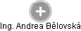Andrea Bělovská - Vizualizace  propojení osoby a firem v obchodním rejstříku