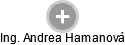 Andrea Hamanová - Vizualizace  propojení osoby a firem v obchodním rejstříku