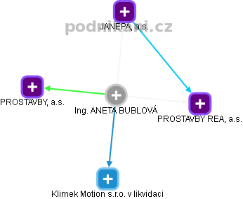 ANETA BUBLOVÁ - Vizualizace  propojení osoby a firem v obchodním rejstříku