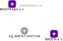 ANETA FÜRSTOVÁ - Vizualizace  propojení osoby a firem v obchodním rejstříku