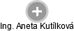  Aneta K. - Vizualizace  propojení osoby a firem v obchodním rejstříku