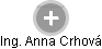  Anna C. - Vizualizace  propojení osoby a firem v obchodním rejstříku