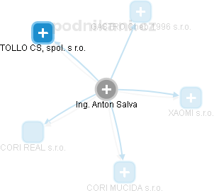 Anton Salva - Vizualizace  propojení osoby a firem v obchodním rejstříku