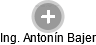  Antonín B. - Vizualizace  propojení osoby a firem v obchodním rejstříku