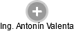 Antonín Valenta - Vizualizace  propojení osoby a firem v obchodním rejstříku