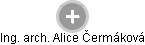  Alice Č. - Vizualizace  propojení osoby a firem v obchodním rejstříku