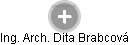  Dita B. - Vizualizace  propojení osoby a firem v obchodním rejstříku