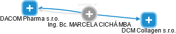  Marcela C. - Vizualizace  propojení osoby a firem v obchodním rejstříku