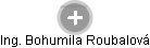  Bohumila R. - Vizualizace  propojení osoby a firem v obchodním rejstříku