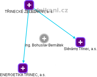Bohuslav Bernátek - Vizualizace  propojení osoby a firem v obchodním rejstříku