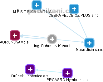  Bohuslav K. - Vizualizace  propojení osoby a firem v obchodním rejstříku