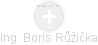  Boris R. - Vizualizace  propojení osoby a firem v obchodním rejstříku
