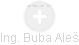 Buba Aleš - Vizualizace  propojení osoby a firem v obchodním rejstříku
